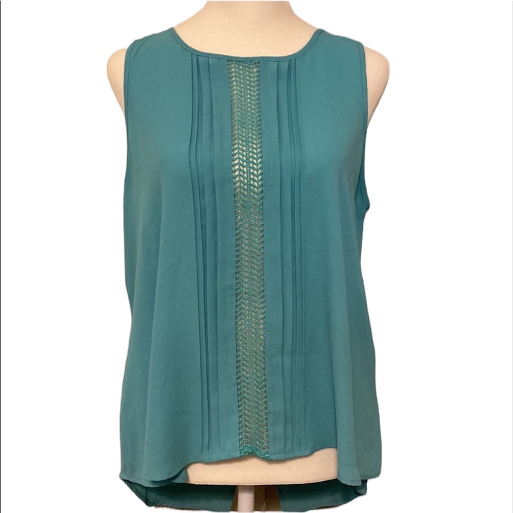 LUSH sheer dress blouse with open embroidery accent